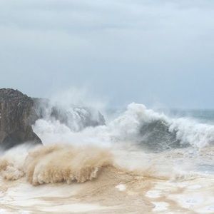 Meet your Posher, Olive